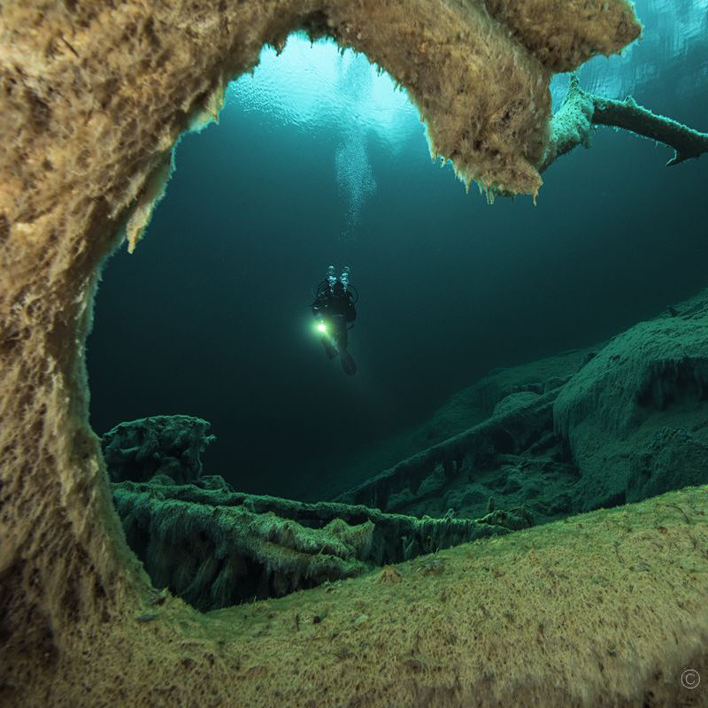 DAVID KOCHER underwater
